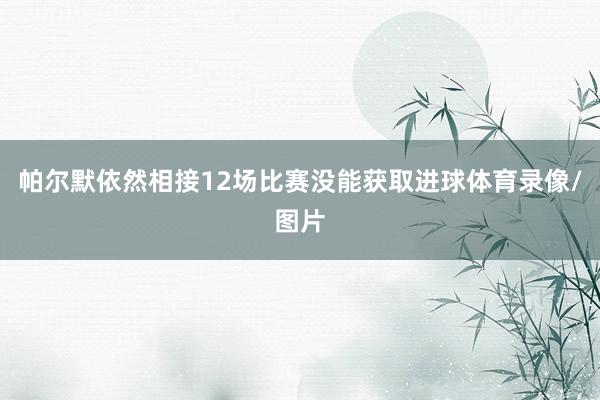 帕尔默依然相接12场比赛没能获取进球体育录像/图片