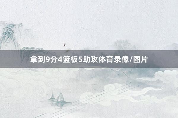 拿到9分4篮板5助攻体育录像/图片