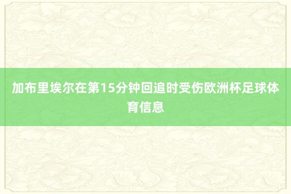 加布里埃尔在第15分钟回追时受伤欧洲杯足球体育信息