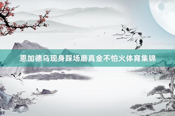 恩加德乌现身踩场磨真金不怕火体育集锦