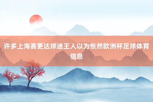 许多上海赛更达球迷王人以为怅然欧洲杯足球体育信息