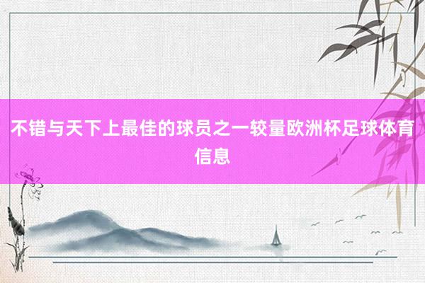 不错与天下上最佳的球员之一较量欧洲杯足球体育信息