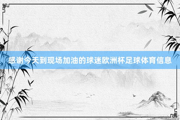感谢今天到现场加油的球迷欧洲杯足球体育信息