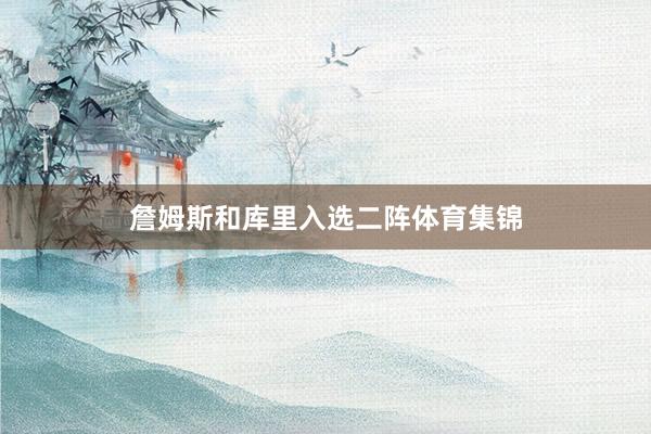 詹姆斯和库里入选二阵体育集锦