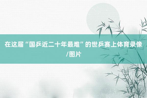 在这届“国乒近二十年最难”的世乒赛上体育录像/图片