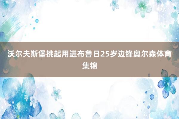 沃尔夫斯堡挑起用进布鲁日25岁边锋奥尔森体育集锦