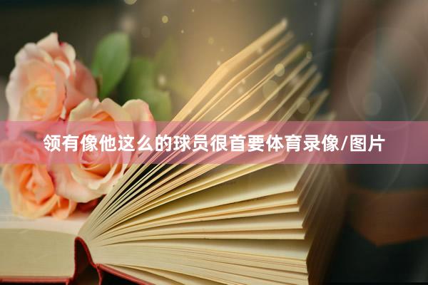 领有像他这么的球员很首要体育录像/图片
