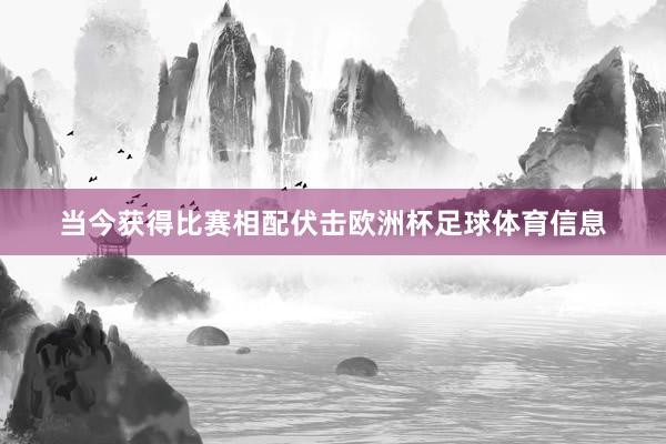 当今获得比赛相配伏击欧洲杯足球体育信息
