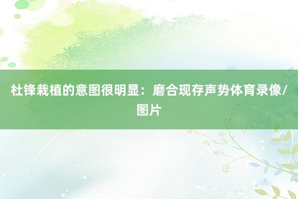 杜锋栽植的意图很明显:磨合现存声势体育录像/图片