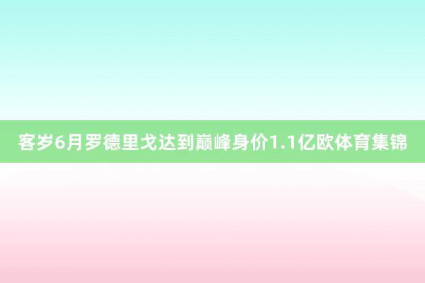 客岁6月罗德里戈达到巅峰身价1.1亿欧体育集锦
